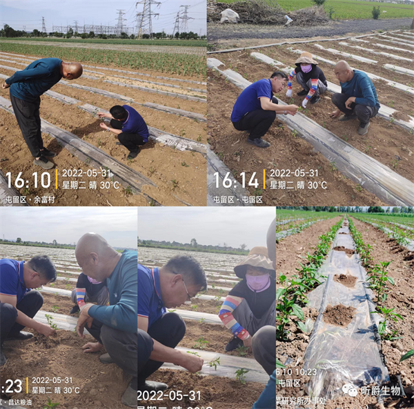 菌肥E稼，有效防治这些问题！