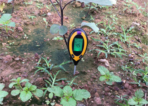 土壤酸化盐渍化是什么引起的，菌肥e稼如何调节修复土壤，改良土壤？