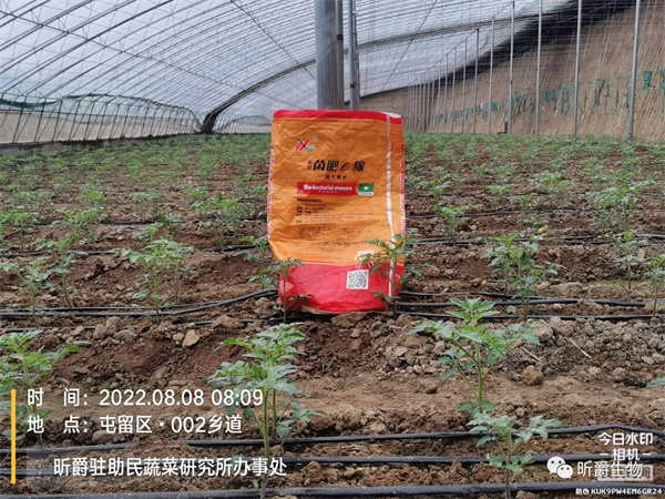 昕爵菌肥e稼，有效解决土壤板结酸化导致作物死棵烂苗！