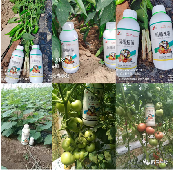 园棚速清清园剂