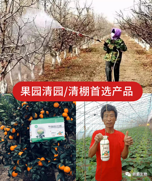 果树清园哪家强，比来比去它最强