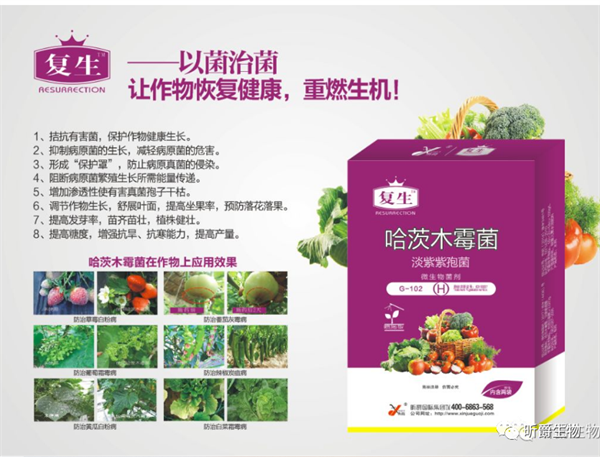 广谱杀菌剂，昕爵复生