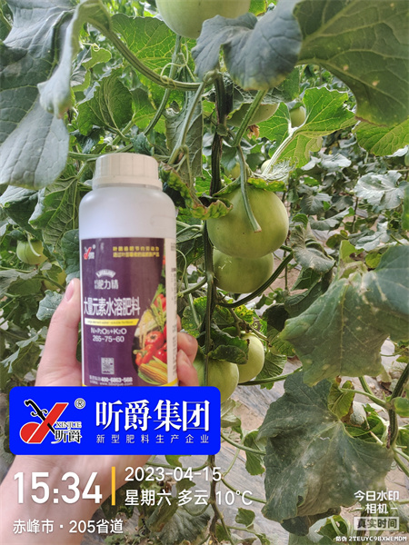 使用长效缓释液态复合肥淝力精，提高作物坐果率