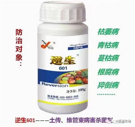 土传病害造成作物死苗烂根怎么防治？