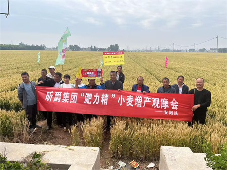 小麦生长后期做好干热风预防，推荐使用具有抗旱功能的液态复合肥淝力精