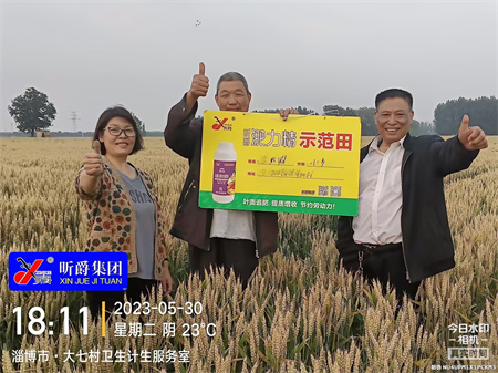小麦增产新技术！一起走进新型液态复合肥淝力精小麦测产会