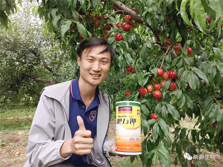 如果你还不知道膨果期施肥要点，果子可能会得脐腐病，甚至导致裂果