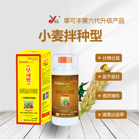 小麦为什么要拌种？增产抗旱的旱可丰小麦拌种剂告诉您