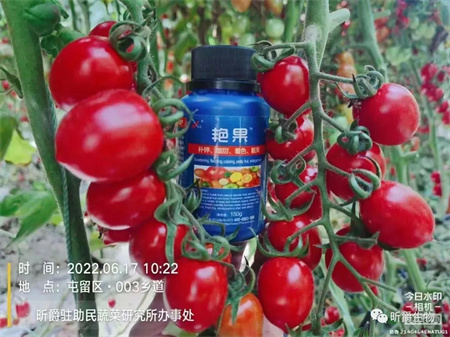 果实膨大期的施肥要点，记住了果实不仅上好，还能增加甜度