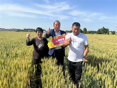 玉米增产抗干旱，水稻壮籽，小麦返青，抗冻害，为什么都在液态复合肥淝力精