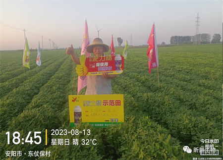 液态复合肥淝力精&mdash;助力花生增产增收！