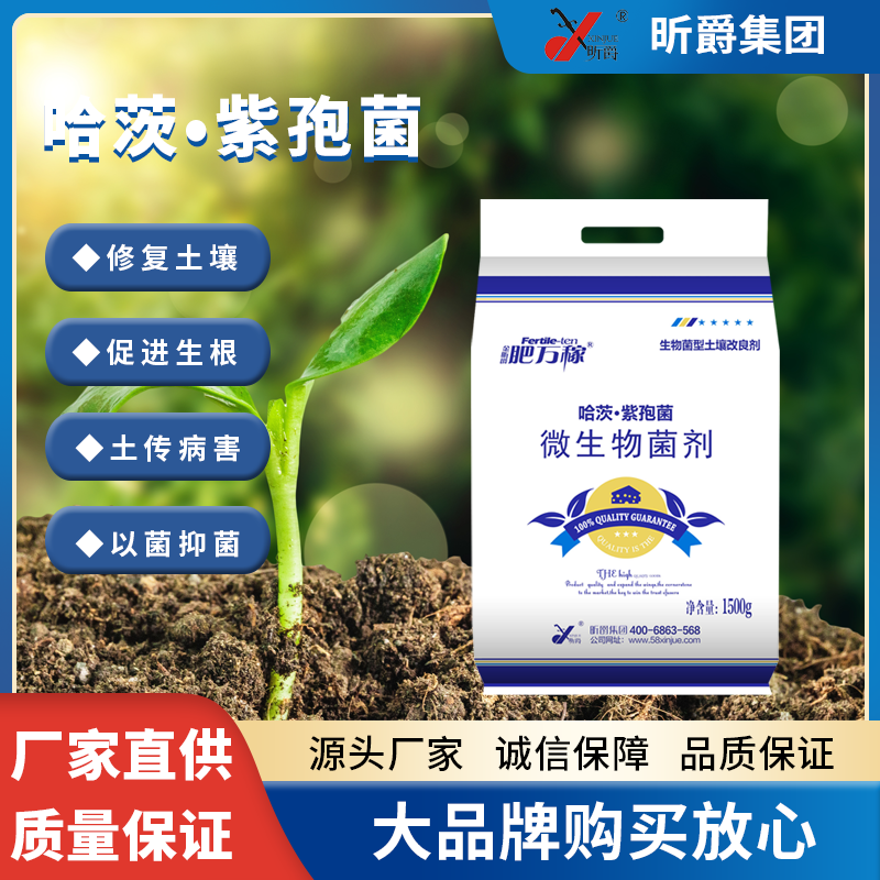 哈茨&middot;紫孢菌