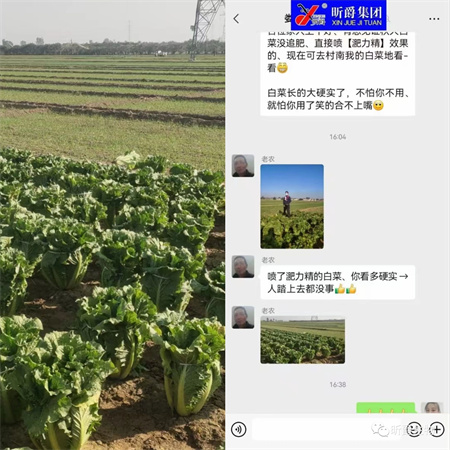 替代尿素的叶面追肥新产品淝力精