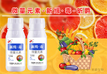 昕爵新缉&middot;毒有效防治黄瓜病毒病
