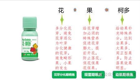 新型促花促果肥花&middot;果柯多开花多、坐果多