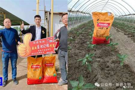 土壤板结怎么办？试试昕爵的水溶性菌肥