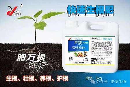 根好庄稼才好，生根就用昕爵肥万根
