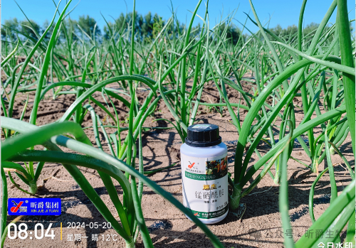 昕爵集团逆生4号，以科技守护作物健康