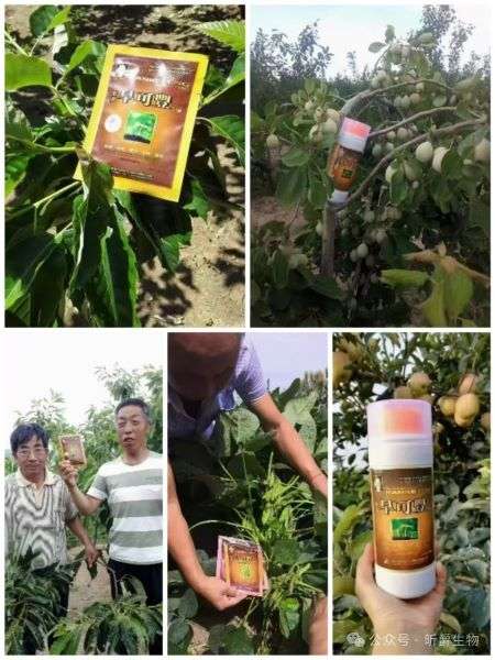 高温来袭，预防干旱就用昕爵旱可丰