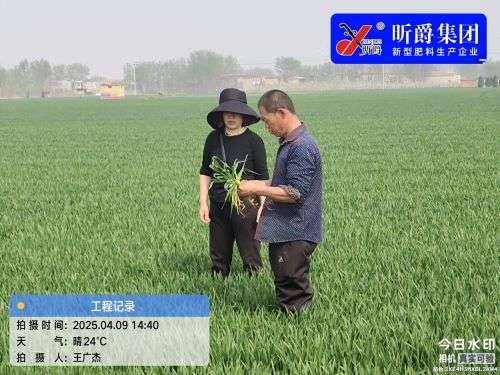 昕爵守护每一片沃土，翡利晶托起丰收希望