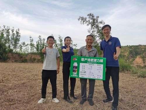 追肥产品昕爵翡利晶，助力小麦zeng产新篇章