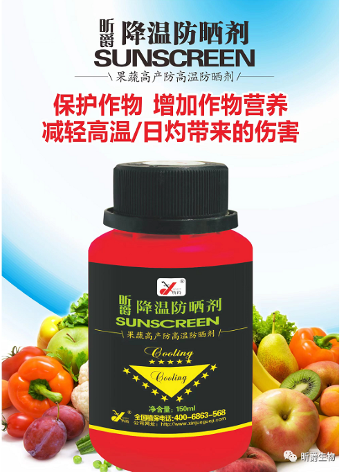 昕爵降温防晒剂，减轻作物高温、日灼伤害