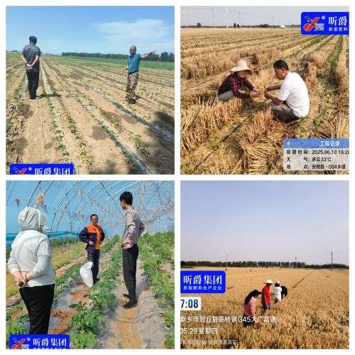 水溶肥厂家昕爵集团全国深耕，专业服务助力农业丰收