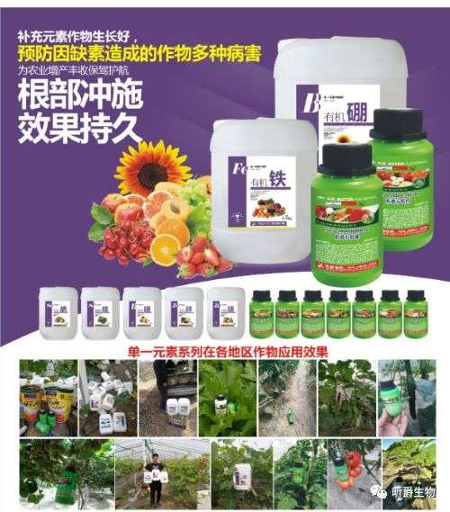 富硒作物施肥就用昕爵&ldquo;有机硒&rdquo;