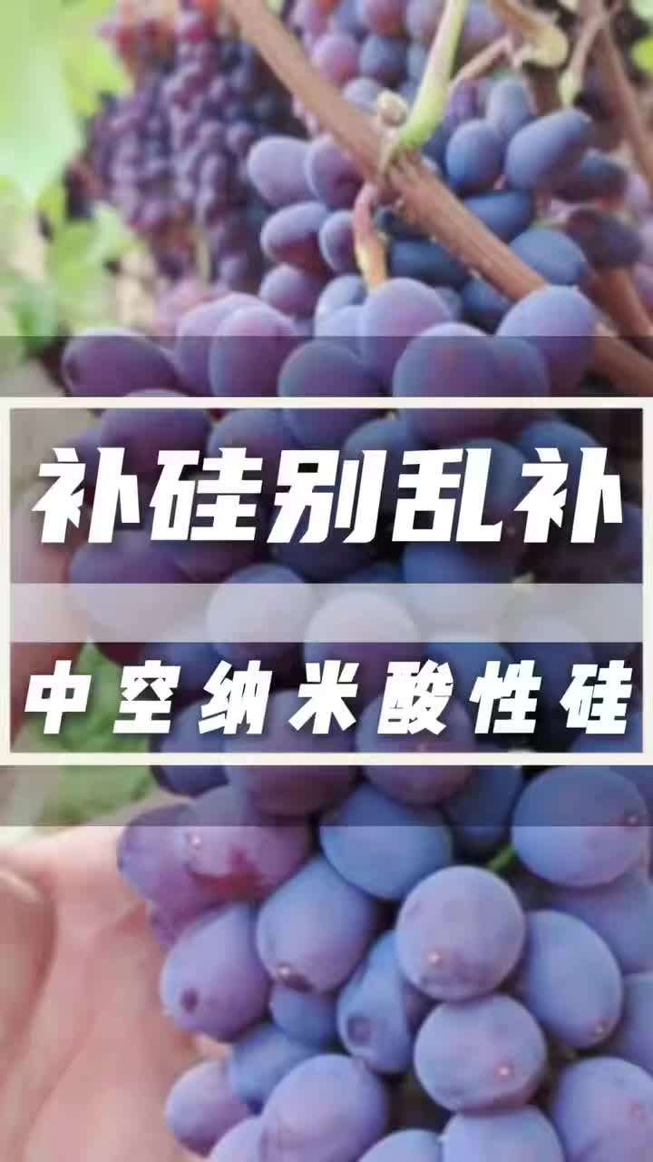 硅肥不会选怎么办？先别急，一个视频告诉你