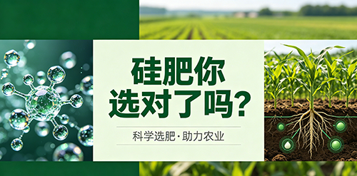一次喷施顶三遍！昕爵中空纳米酸性硅，省工省钱还高 产